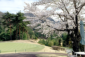 コース風景